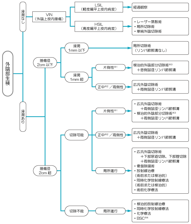 図２　外陰がんの治療の選択の図